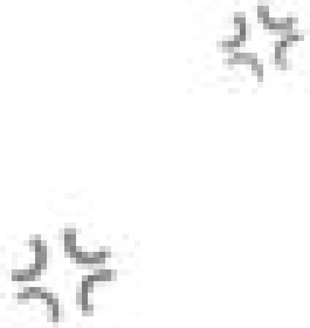 重磅消息!滁州南谯区2019年中小学学区方案公布,附具体学区!