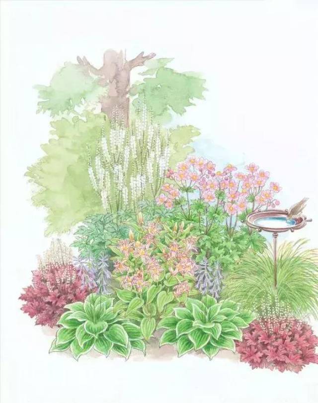 100张世界级花镜大师的手绘作品,以后家里的植物就这么搭配了!