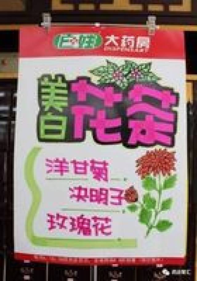 药店花茶组合及功效,配花茶pop大全(太实用了,赶紧收藏!)