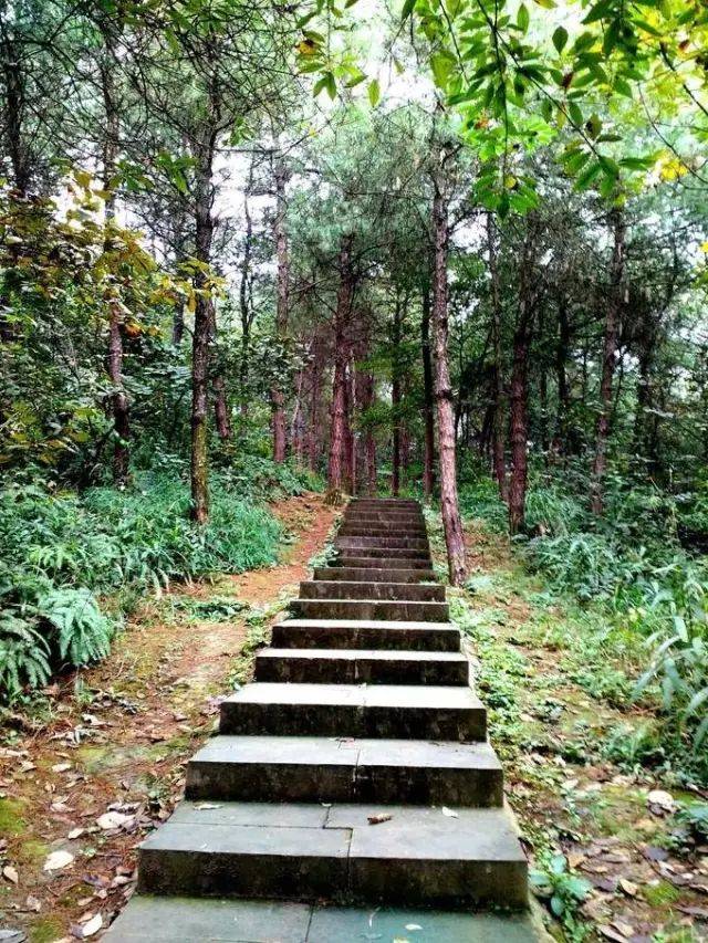 不落雨就爬山│重庆勒些登山步道走过几条?我只走过6条