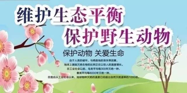 保护野生动物,保卫生态平衡人人有责