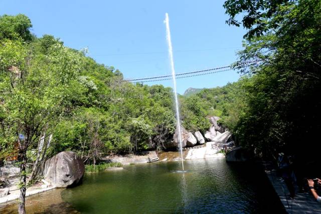 中原网络大咖齐聚魅力西峡 探寻恐龙遗迹园龙潭沟风采