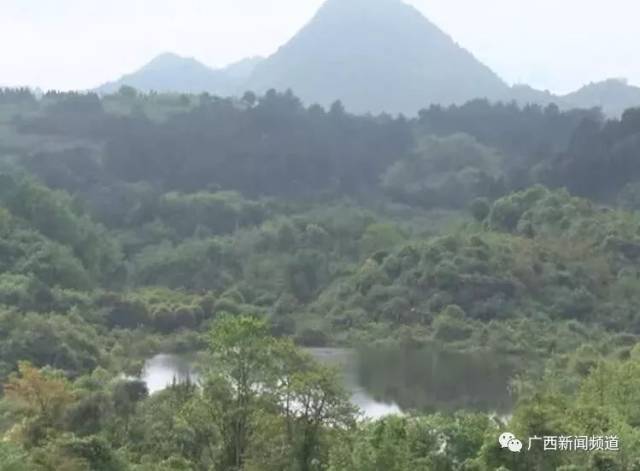 全州石塘一湖泊凭空出现又神秘消失!65年后的今天再现"天降之湖!