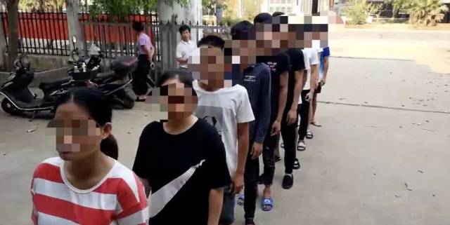 又现排队自首!还有嫌疑人先视频