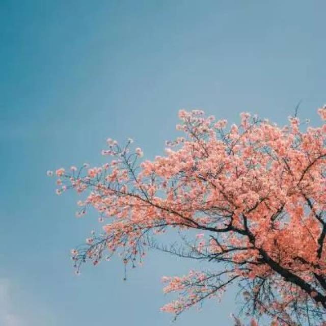 ͷ | ͷ羰ͼƬ