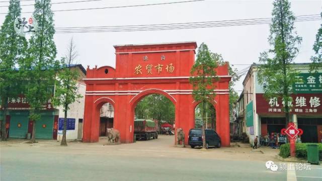 我在分手综艺里恋爱