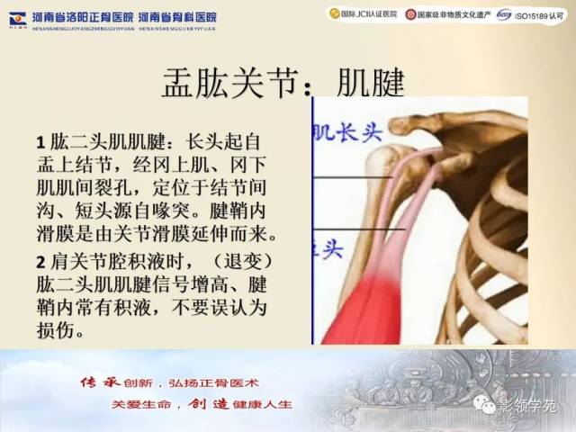 【经典】肩关节mri规范化扫描及相关病变影像学诊断