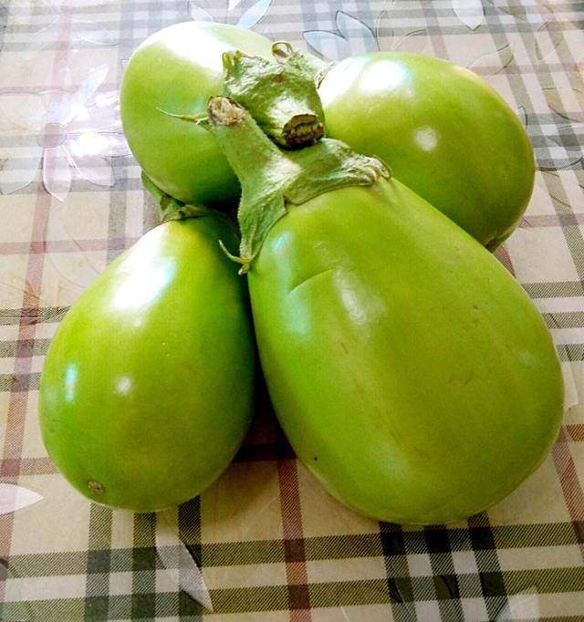 绿皮茄子和紫皮茄子,营养上有区别吗?告诉你吃茄子用不用去皮