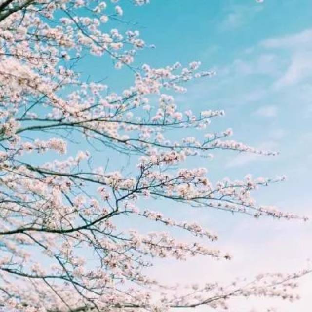 沈姓微信头像风景图片分享