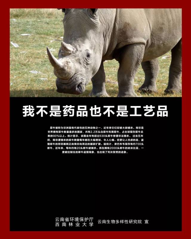 公益海报 犀牛说:"我不是药品,也不是工艺品.