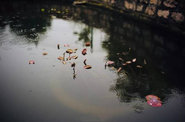 清源寻迹| 春夏之交,雨生百谷——寻赏谷雨时下的景象