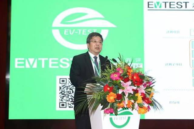 国内掀电动汽车热潮:生产商近500家 去年突破100万辆