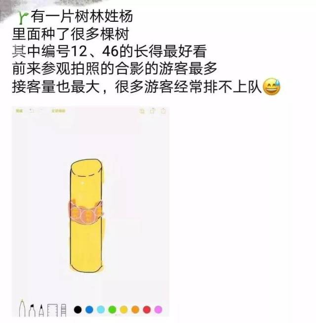 朋友圈代购的那些沙雕文案