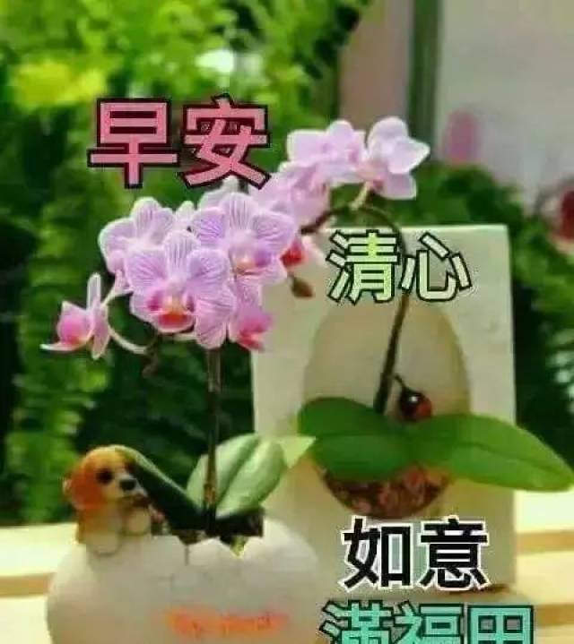 µһ,,Ϻ!
