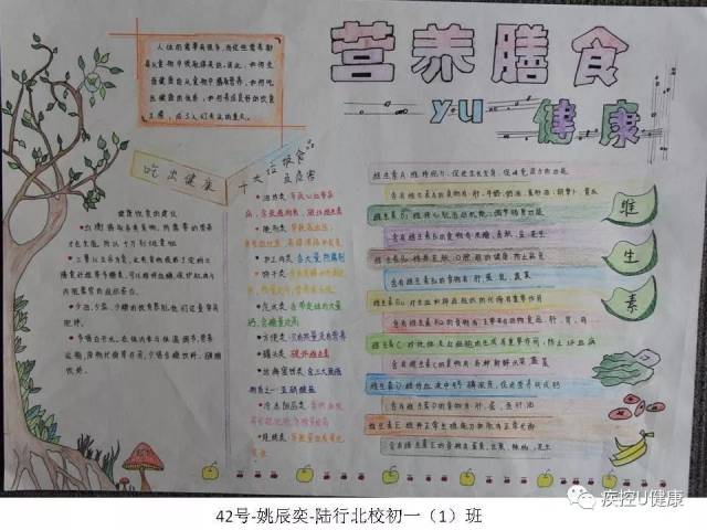 「膳食均衡营养,健康步步为『营』」看中小学生手抄报