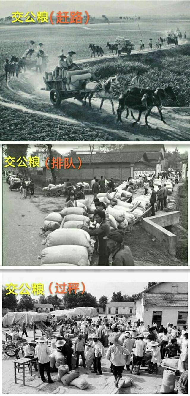 以前的农村的生活到底是什么样子的?