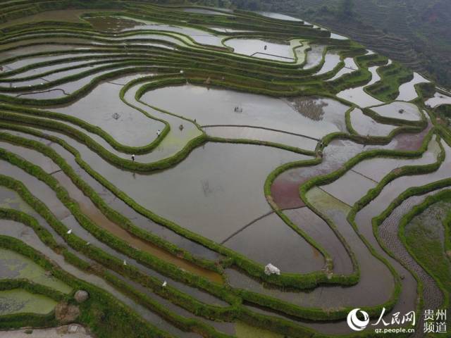 2019年4月21日拍摄的贵州省从江县翠里瑶族壮族乡南岑村梯田景色(无人