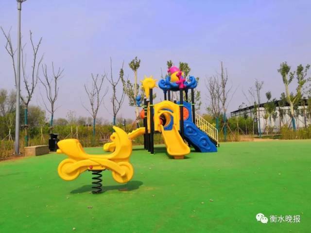 五一至六一,衡水市区宝云公园与人民公园相继开门迎客!