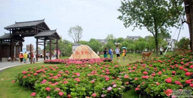 黄陂木兰花乡一日游木兰花乡景区门票预定