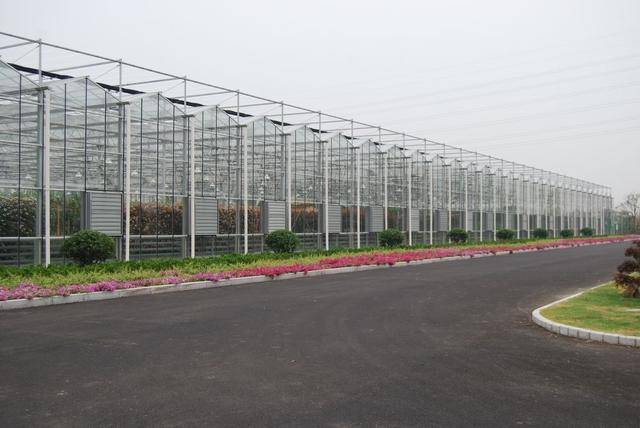 全玻璃种植大棚一亩地造价多少,单体面积多少比较合适
