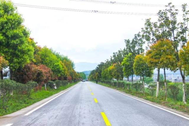 宜昌夷陵:生态景观公路成风景!