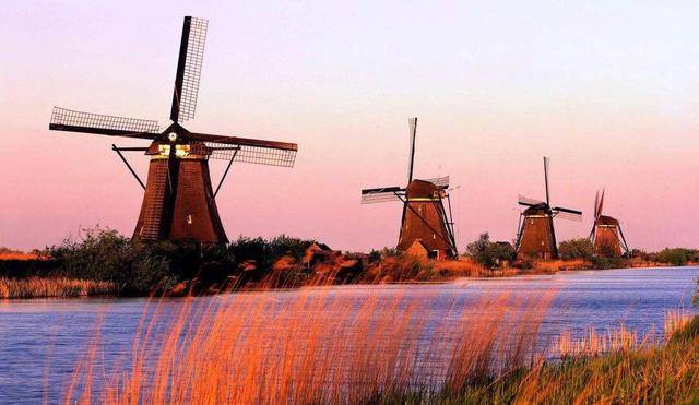 HL荷兰护照、荷兰高技术移民、荷兰投资移民