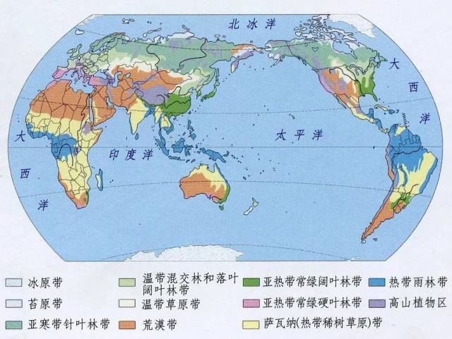 【考试】地理环境与植被