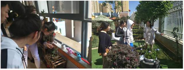 【校园动态】官渡区教育体育局校园动态信息32则