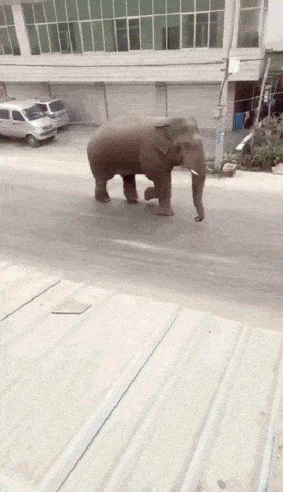 400_6 gif ̬ͼ ͼ