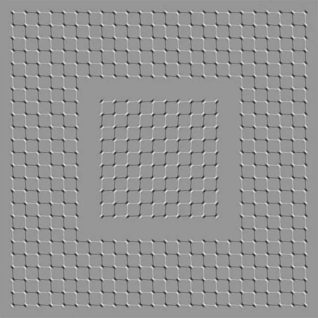 像动画 gif 或短片的令人