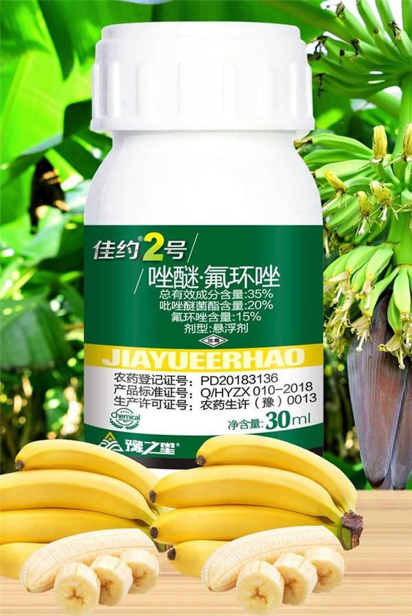 保叶才增产佳约2号增产药 让江城香蕉每株增产3公斤价