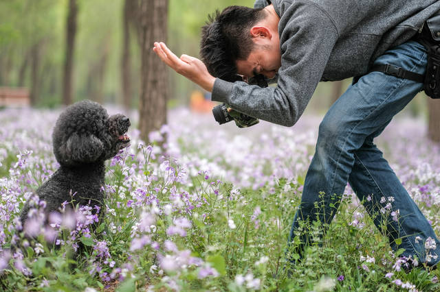 宠物摄影师为流浪狗拍写真