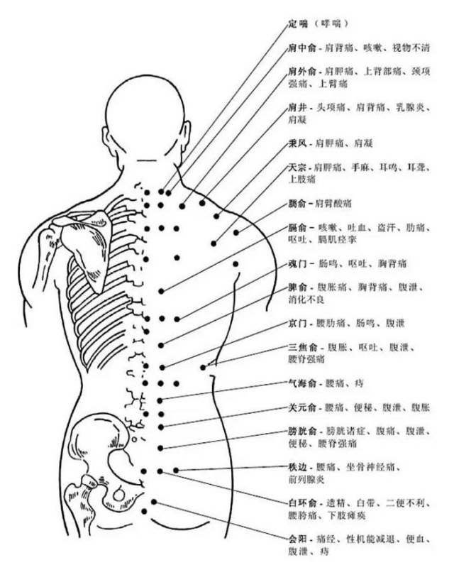 超全人体穴位图谱(附经络循行动图)