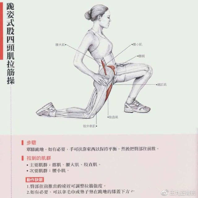 臀肌——伸髋动作(臀推,俯卧腿后摆rh,高位拉/架上拉/垫铃拉