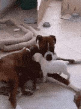 270_360 竖版 竖屏