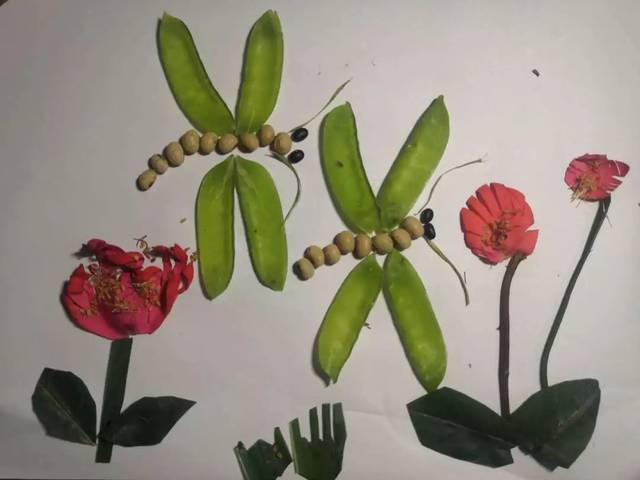 运用水果和植物做一副有趣的"拼图"