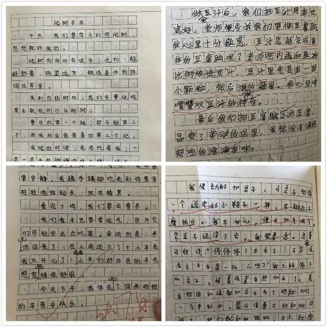 【劳动节专题】这所学校,让孩子走出教室种菜喂鸡爬树