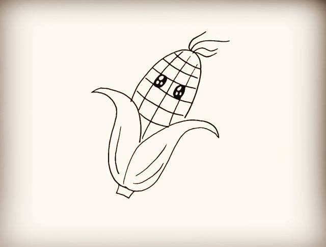 简笔画-玉米