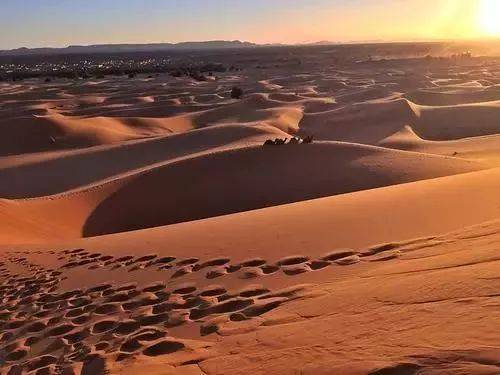 撒哈拉大沙漠有什么特点?