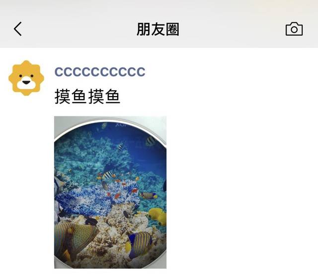 五一的朋友圈,这里提前预定了