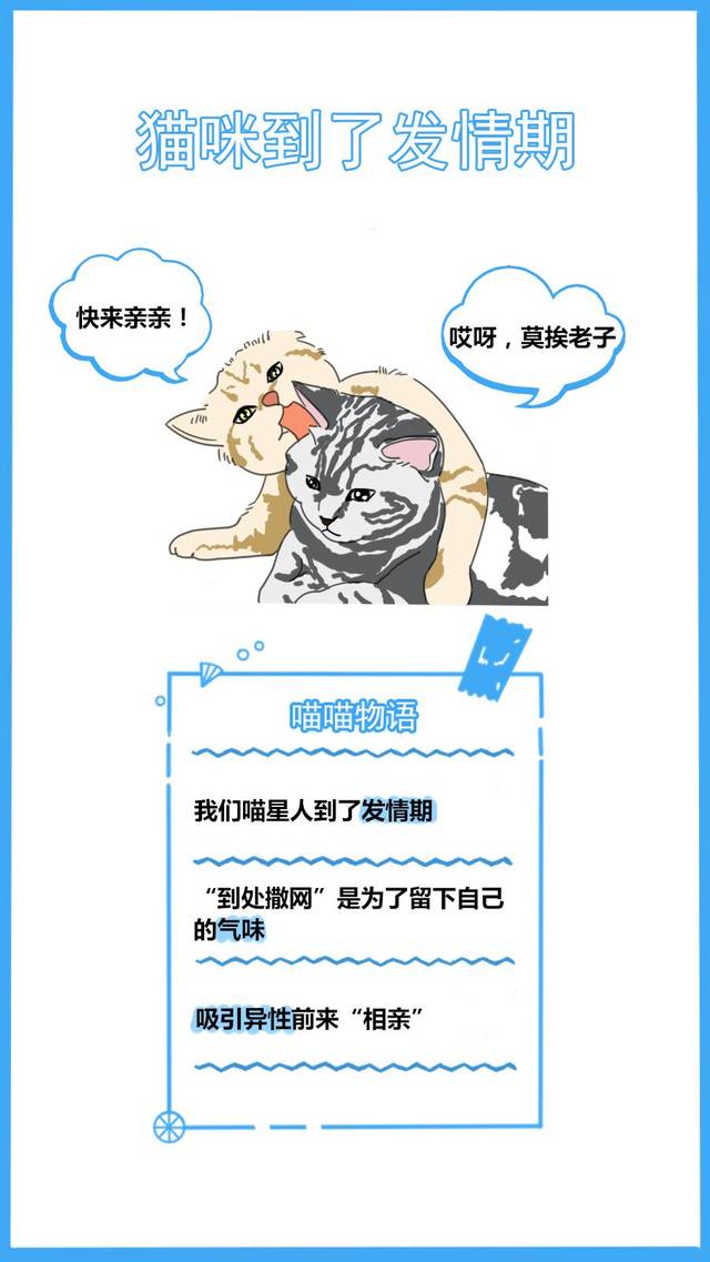 59秒冷盘点:又怪猫乱尿是报复你呢?冤枉了人家