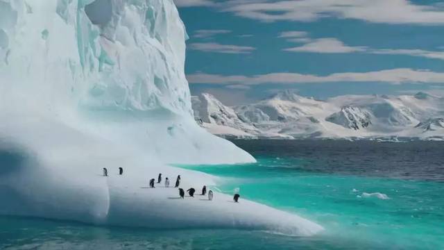 五一要补的影视剧,最好看的我都挑出来了!