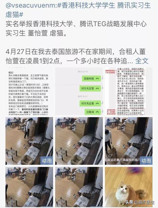 虐猫的人该不该被开除?