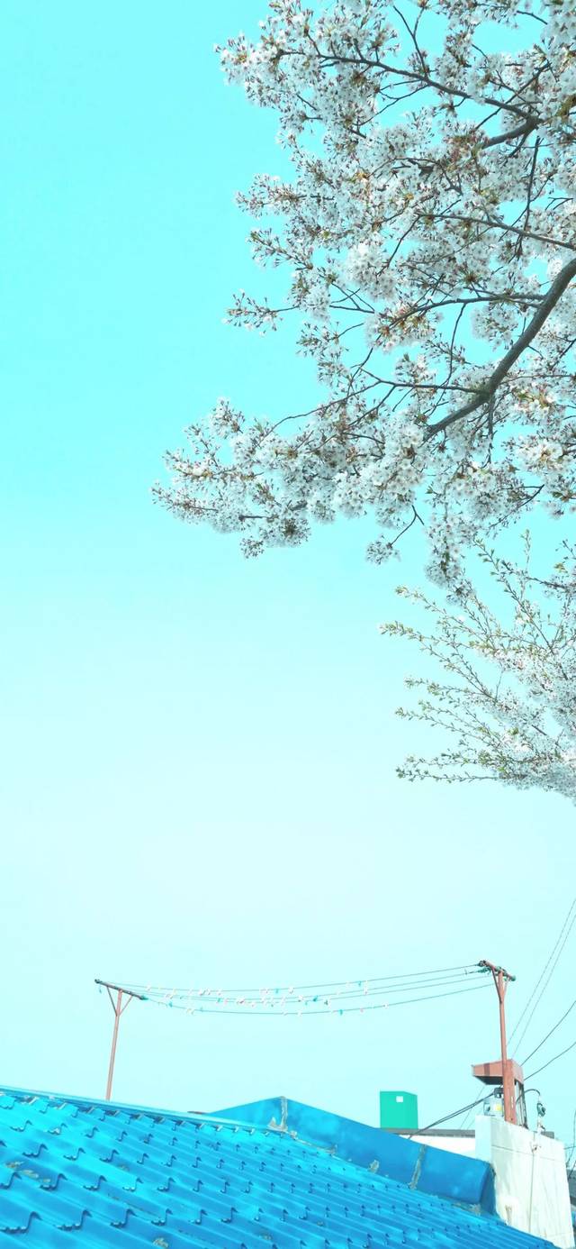 全面屏壁纸 | iphonexs max壁纸