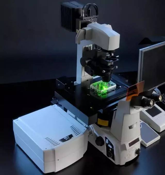【科研方法12】激光扫描共聚焦显微镜技术使用指南