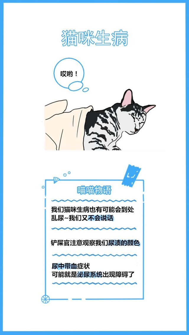 59秒冷盘点:又怪猫乱尿是报复你呢?冤枉了人家