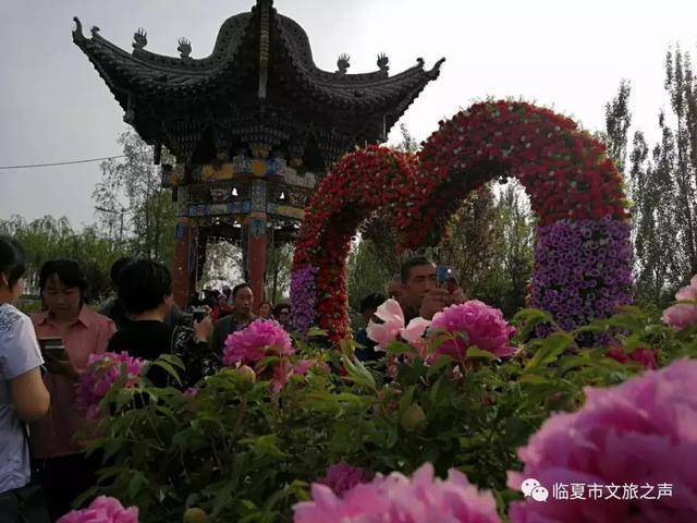 2019河州牡丹文化月盛大举办之际,五湖四海的人民涌向临夏,共赏'胜绝