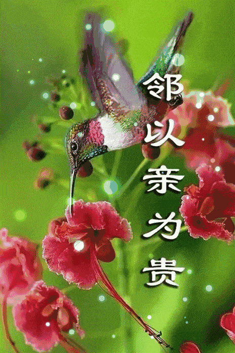464_696 竖版 竖屏