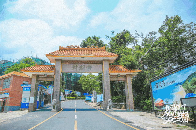 堪称深圳最后一片净土!日式街道,唯美海滩……免费开放!