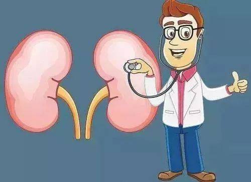 什么是肾囊肿?肾囊肿应该如何治疗呢?
